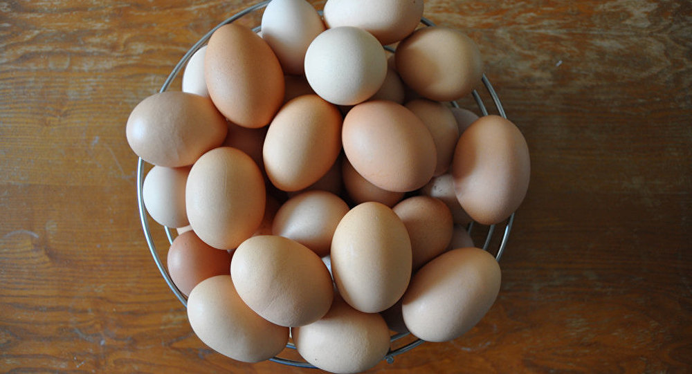 ما الذي يحدث اذا لم نضع البيض في الثلاجة