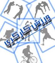 فعالیت 260 مجموعه ورزش کارگری در کشور