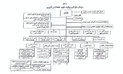 4 مـیلیـون دانـشجـو زیر پوشش صـندوق رفـاه دانـشجویی قـرار دارنـد