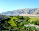 ‏35 هزار هکتار از زمین های شیروان چرداول زیر کشت غلات رفت‏