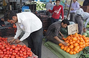پرتقال مسموم کار مافیای میوه است