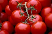 مصرف گوجه فرنگی و تسکین دردهای جراحی