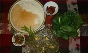 22 درصد ارز وارداتی بابت مواد غذایی حوزه دام و کشاورزی است
