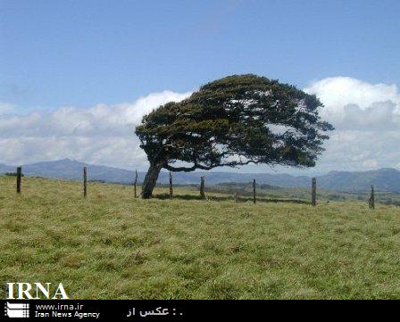 تندباد شدید همراه با بارش برف و باران در مهاباد