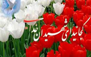 راه اندازی پایگاه اینترنتی شهدای عرصه گمنامی در شیراز
