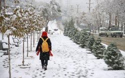 سرمای 23 درجه ای زیر صفر مدارس سقز را تعطیل كرد