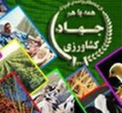 نداشتن وثیقه، مشکل عمده طرح های برگشتی کشاورزی
