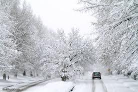 ادامه سرما و یخبندان در کردستان