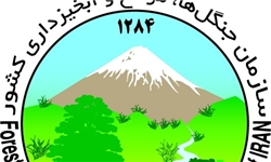 3 میلیارد ریال به منابع طبیعی سیستان و بلوچستان اختصاص می‌یابد
