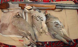 افزایش جلوگیری از تخلفات صید و شکار غیرمجاز آذربایجان‌غربی