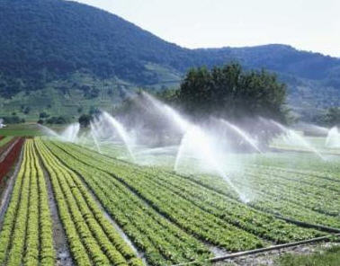 پرداخت بیش از 27میلیاردریال برای توسعه کشاورزی شهرستان مهاباد