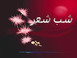 «شب شعر پرنیان» در فرهنگسرای معرفت