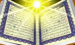 بررسی واژه "شجره  " در "نسیم واژه‌ها"