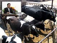 اجرای طرح سراسری مايه كوبي تب برفکی رایگان در استان یزد