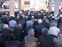 ماه ربیع الاول ماهی برای وحدت بیشتر