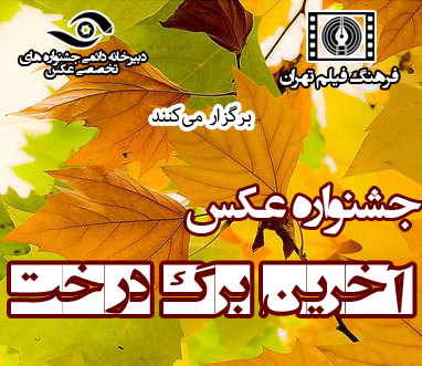 آیین اختتامیه جشنواره عکس "آخرین برگ درخت" برگزار می شود