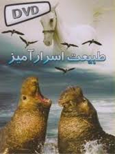 "طبیعت اسرارآمیز" راهی بازار کتاب شد
