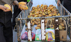 8300 بازرسی اصناف در لردگان انجام شد