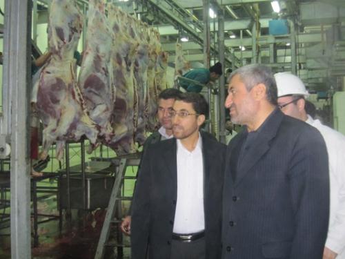 امنیت غذایی یکی از شاخصهای مهم توسعه پایدار است