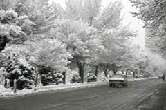 بارش برف و باران در اکثر مناطق گیلان