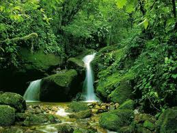 برگزاری مسابقه عکاسی با موضوع طبیعت در زنجان