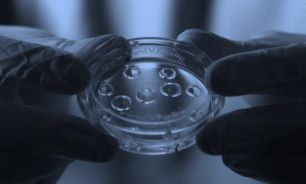 استفاده از تخمک منجمد برای ایجاد بارداری