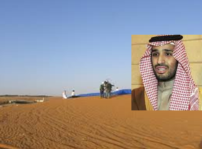 فرزند وليعهد عربستان 16 هزار هكتار از اراضي غرب رياض را خريد