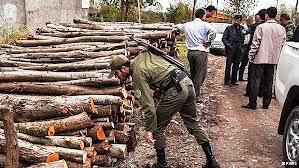 کشف 2 تن چوب قاچاق توسط پليس ماسال