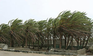 تگرگ، سیلاب، احتمال خسارت به تاسیسات شهری