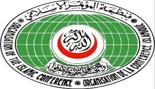 یک عربستانی دبیر کل آینده سازمان همکاری اسلامی