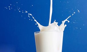 هدف از فرآیند شیر