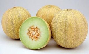 خواص طالبی با اضافه کردن شکر بیشتر می شود یا بدون شکر؟