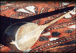 موسیقی عشایری در سایه بی توجهی/ ظرفیت خفته در مقابله با ناتوی فرهنگی
