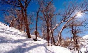 زمستان شما چه رنگي است؟