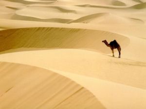اهرام زيباي شنی در مصر ایران + عکس