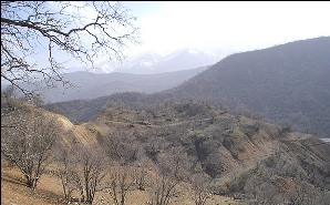 خسارت برف و خشکسالی به جنگلهاي درختان بلوط استان چهارمحال و بختیاری