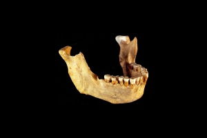آخرین پسرعموی نئاندرتال اروپایی‎ها کی و کجا مرد؟