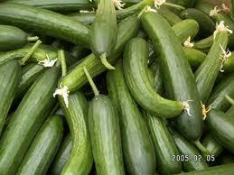 خیار گلخانه ای نخریید