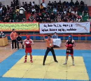 معرفي تيم‌هاي برتر کونگ‌فو جام فجر