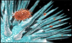تاکنون مورد فوتی بر اثر آنفلوآنزای H1N1 در کرمانشاه گزارش نشده است