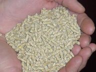 بهره برداری از فاز دوم بزرگترین کارخانه خوراک آبزیان کشور در استان چهارمحال و بختیاری