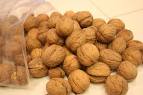 کاهش هزینه های تولید گردو در گرو استفاده از نهال های پیوندی