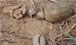 یک گنجشک که باعث پیدا شدن پیکر 45 شهید شد