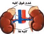 راه های تشخیص سرطان غدد فوق کلیه