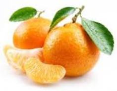 واردات نارنگي نامرغوب از پاکستان/ حضور در بازارهاي جهاني جبران هزينه هاي باغداران