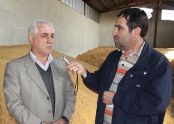 صادرات بذرذرت به كشورهای همسایه از برنامه های وزارت جهاد كشاورزی است
