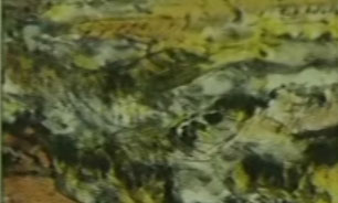 آثار هنري هنرمند چيني در تمبرهاي پستی آمريکا + فیلم