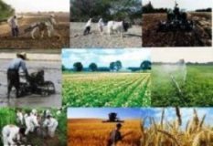 پرداخت تسهیلات به متقاضیان سرمایه گذاری در بخش كشاورزی تسهیل شود