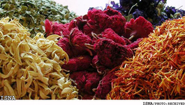 آینده‌ی پرمخاطره پیش‌روی گنج‌های زیستی خراسان‌جنوبی