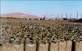 کشف 200 هزار لیتر سوخت قاچاق در خوزستان